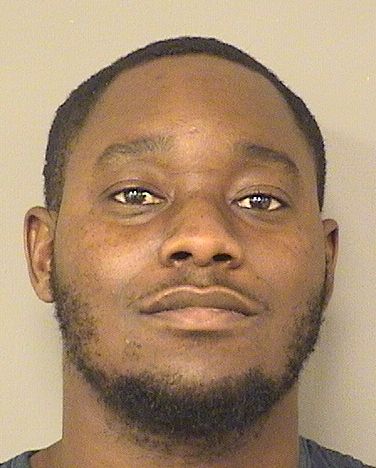  DAMION B FLOWERS Results from Palm Beach County Florida for  DAMION B FLOWERS