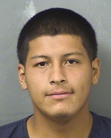  ARIEL ANTONIO ZAVALARUIZ Results from Palm Beach County Florida for  ARIEL ANTONIO ZAVALARUIZ