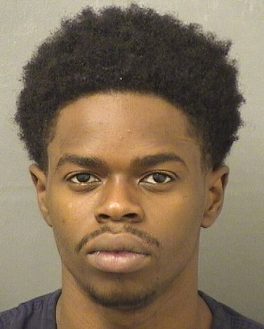  LEVINSON CHARLES Resultados de la busqueda para Palm Beach County Florida para  LEVINSON CHARLES