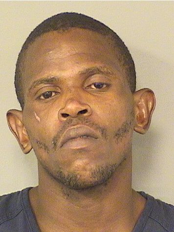  JAMES J BROOKS Results from Palm Beach County Florida for  JAMES J BROOKS