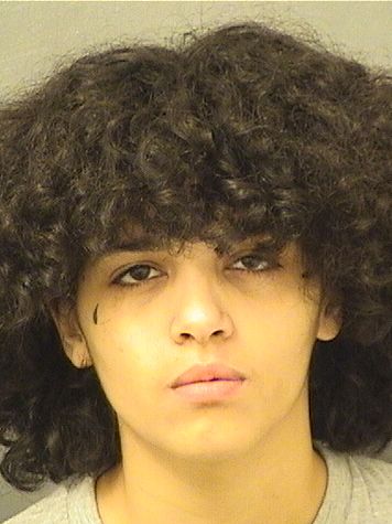  ALICE MORALES Results from Palm Beach County Florida for  ALICE MORALES