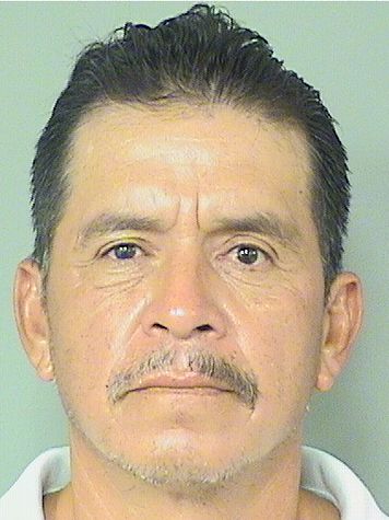  GREGORIO CREC AVILAVASQUEZ Results from Palm Beach County Florida for  GREGORIO CREC AVILAVASQUEZ