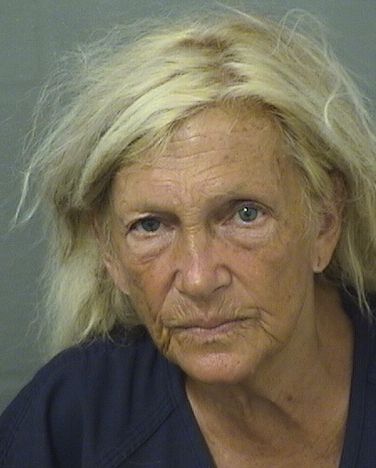  TOBI ROSEN Photo For  TOBI ROSEN