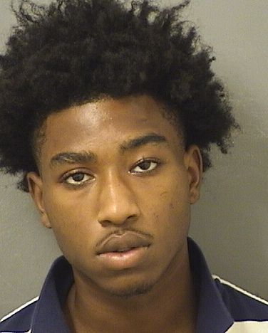  ALEXADRIAN E KING Results from Palm Beach County Florida for  ALEXADRIAN E KING