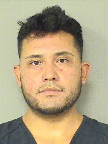  EDGAR R VIRUETELOPEZ Results from Palm Beach County Florida for  EDGAR R VIRUETELOPEZ