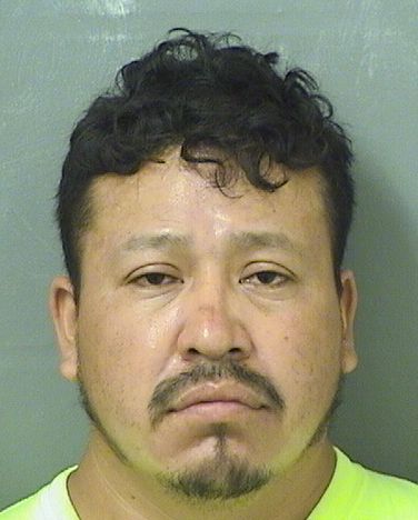  YONI VELASQUEZ VELASQUEZ Resultados de la busqueda para Palm Beach County Florida para  YONI VELASQUEZ VELASQUEZ