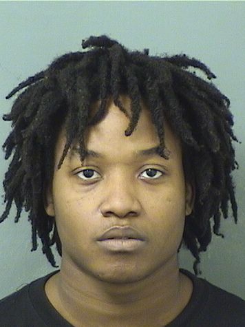  PETER L JEAN Results from Palm Beach County Florida for  PETER L JEAN