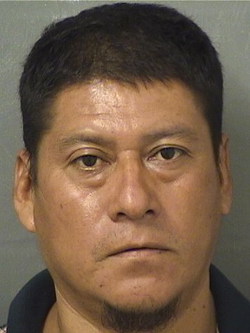  MANUEL TINIO AJQUIGOMEZ Results from Palm Beach County Florida for  MANUEL TINIO AJQUIGOMEZ