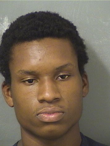  VIELLO ORESTE Results from Palm Beach County Florida for  VIELLO ORESTE