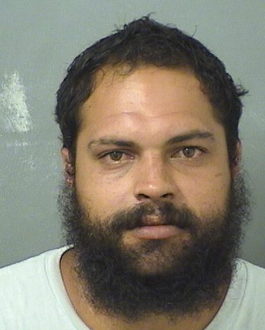  BRANDON L ROEGGE Results from Palm Beach County Florida for  BRANDON L ROEGGE