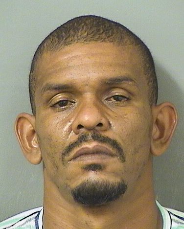  PAULO R DASILVAALVES Results from Palm Beach County Florida for  PAULO R DASILVAALVES