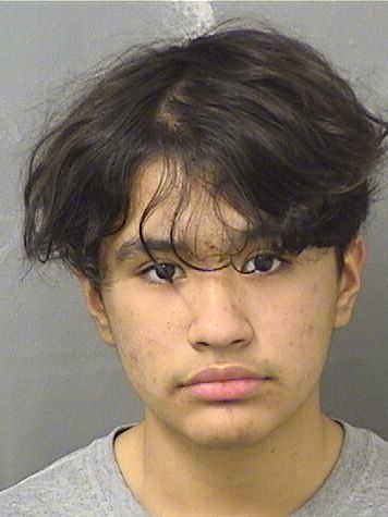  RUDIS VILLATORO Resultados de la busqueda para Palm Beach County Florida para  RUDIS VILLATORO