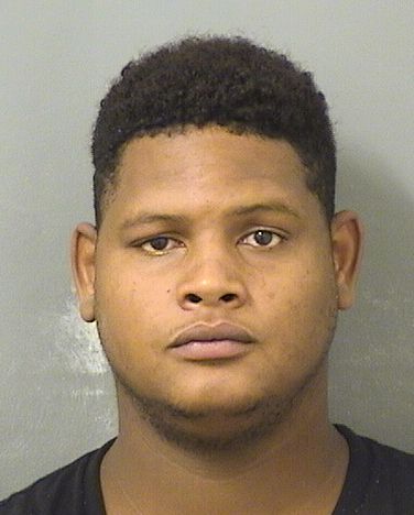  LUIS LEANDRO VIDALSIRI Results from Palm Beach County Florida for  LUIS LEANDRO VIDALSIRI