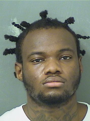  JASON D PETION Results from Palm Beach County Florida for  JASON D PETION