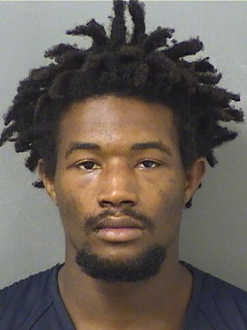  LARNELL TERRELL MCCONN Results from Palm Beach County Florida for  LARNELL TERRELL MCCONN