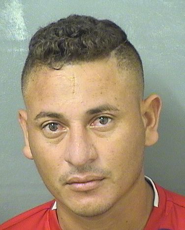  EDUIN M RUIZESCOBAR Results from Palm Beach County Florida for  EDUIN M RUIZESCOBAR