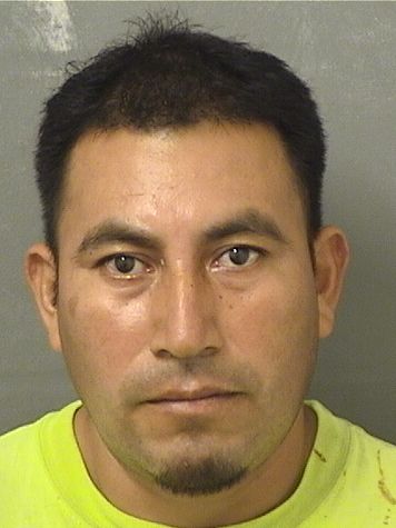  MARIO CHUNREYNOSO Results from Palm Beach County Florida for  MARIO CHUNREYNOSO