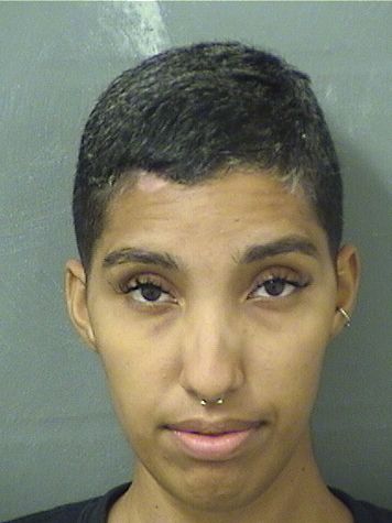  ALLISON EVELEIGH BUTLER Results from Palm Beach County Florida for  ALLISON EVELEIGH BUTLER