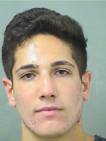  NICHOLAS PAUL DEANNUNTIS Results from Palm Beach County Florida for  NICHOLAS PAUL DEANNUNTIS
