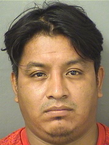  ABELINO PEREZLOPEZ Results from Palm Beach County Florida for  ABELINO PEREZLOPEZ