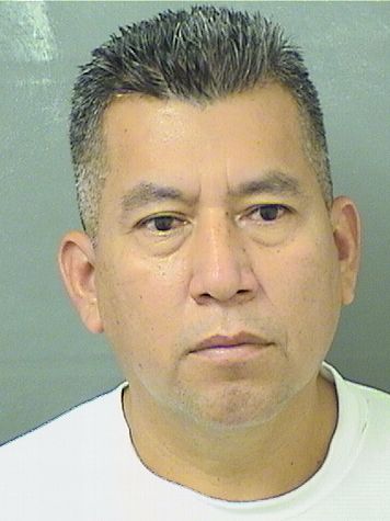  JOSE LIBERATODELEON Results from Palm Beach County Florida for  JOSE LIBERATODELEON