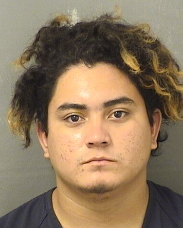  HECTOR MANUEL CARCAMOBARAHONA Results from Palm Beach County Florida for  HECTOR MANUEL CARCAMOBARAHONA