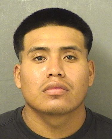  DEIBY LEBAI RAMIREZPEREZ Results from Palm Beach County Florida for  DEIBY LEBAI RAMIREZPEREZ