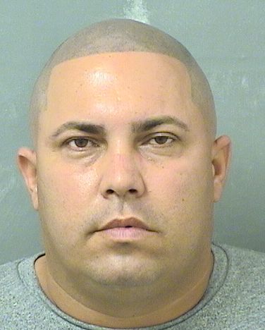  LUIS LARAVICET Results from Palm Beach County Florida for  LUIS LARAVICET