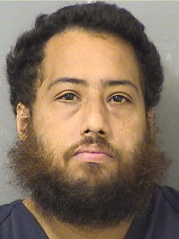  RICARDO TORRES Results from Palm Beach County Florida for  RICARDO TORRES