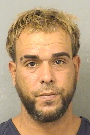  JOSE CARLOS MOJICA Results from Palm Beach County Florida for  JOSE CARLOS MOJICA