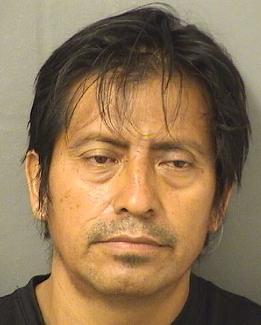  GASPAR MIGUELFRANCISCO Photo