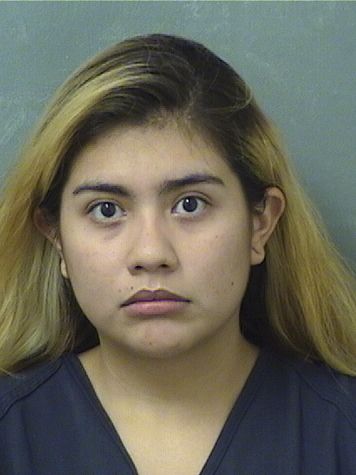  LIDIA HERNANDEZGARCIA Results from Palm Beach County Florida for  LIDIA HERNANDEZGARCIA