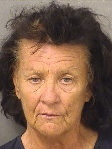  DIANE T SMITH Results from Palm Beach County Florida for  DIANE T SMITH