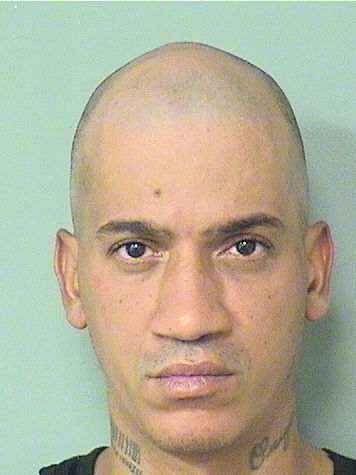  ARNALDO ANDRES MURIEL Results from Palm Beach County Florida for  ARNALDO ANDRES MURIEL