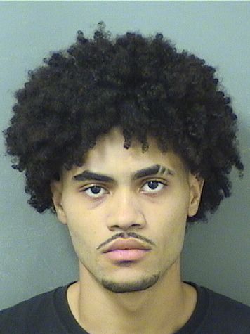  LAQUAVIOUS DWAYNE FELICIANO Results from Palm Beach County Florida for  LAQUAVIOUS DWAYNE FELICIANO