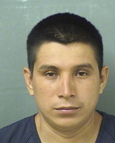  PAULINO LOPEZLAINEZ Photo