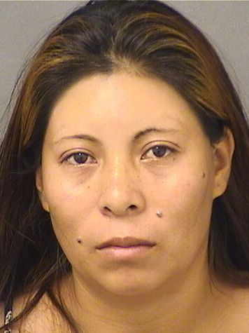  ERIKA MEJIAPEREZ Resultados de la busqueda para Palm Beach County Florida para  ERIKA MEJIAPEREZ