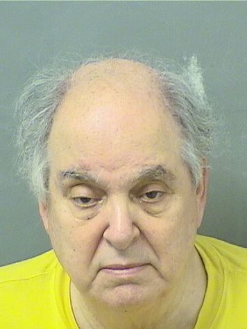  MICHAEL ALAN STONE Results from Palm Beach County Florida for  MICHAEL ALAN STONE