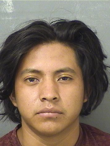  BALTAZAR TORRESDOMINGO Resultados de la busqueda para Palm Beach County Florida para  BALTAZAR TORRESDOMINGO