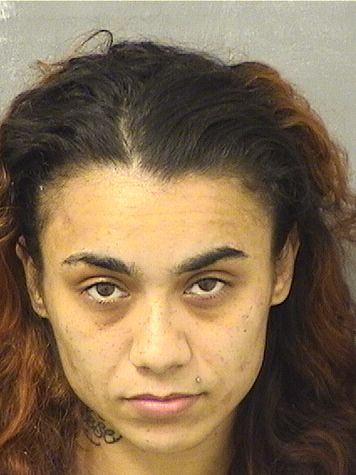  ALESCIA LANNOTTI Results from Palm Beach County Florida for  ALESCIA LANNOTTI