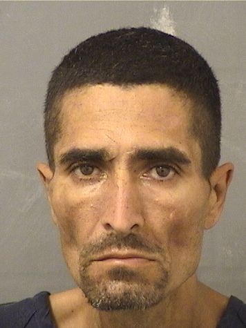  JOSE L VASQUEZOCASIO Resultados de la busqueda para Palm Beach County Florida para  JOSE L VASQUEZOCASIO