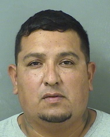  JESUS MANUEL LOPEZ Results from Palm Beach County Florida for  JESUS MANUEL LOPEZ