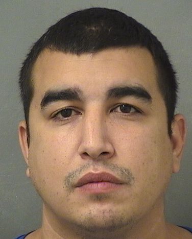  TREVOR RYAN BRIGNONICURLEY Results from Palm Beach County Florida for  TREVOR RYAN BRIGNONICURLEY