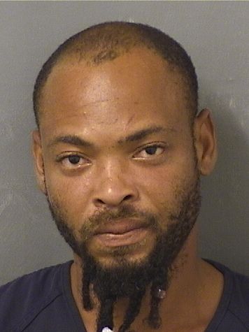  MARTIN MICHEL Results from Palm Beach County Florida for  MARTIN MICHEL