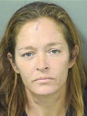  DANIELLE RIDDELL Results from Palm Beach County Florida for  DANIELLE RIDDELL