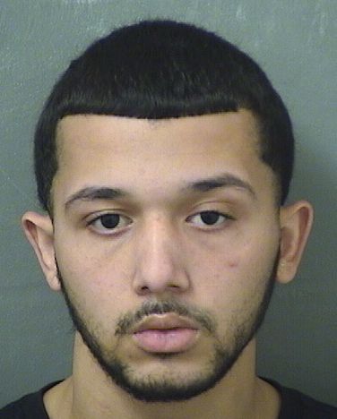  MARIO ALEXANDER CIGGS Results from Palm Beach County Florida for  MARIO ALEXANDER CIGGS