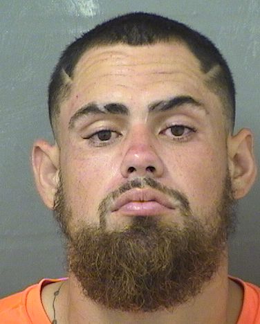  LORENZO R BARRERA Resultados de la busqueda para Palm Beach County Florida para  LORENZO R BARRERA