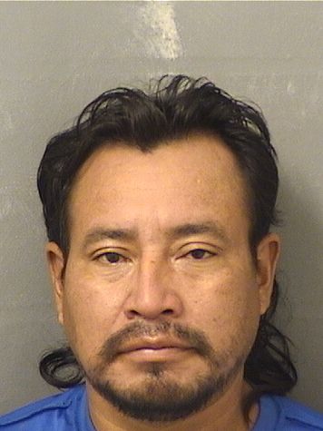 JOSE A CRUZJERONIMO resultados de la busqueda para Palm Beach County Florida para JOSE A CRUZJERONIMO JOSE A CRUZJERONIMO Resultados de la busqueda para Palm Beach County Florida para JOSE A CRUZJERONIMO