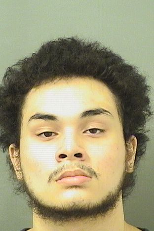  DOMINIC SOTO Results from Palm Beach County Florida for  DOMINIC SOTO