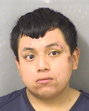  PEDRO JOSE JIMENEZ Results from Palm Beach County Florida for  PEDRO JOSE JIMENEZ